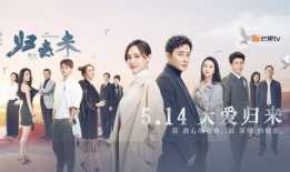 归去来电视剧,穿越时空的青春记忆